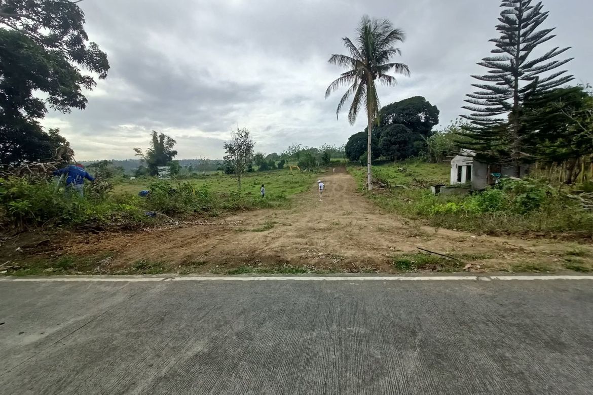 Land for Sale in Minantok Silangan, Amadeo, Cavite – photo 7