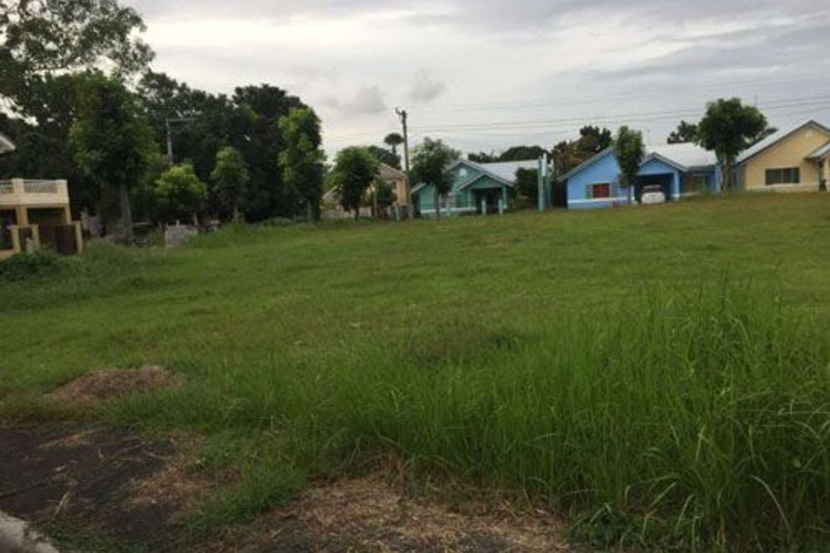 Land for Sale in Minien East, Santa Barbara, Pangasinan – photo 3