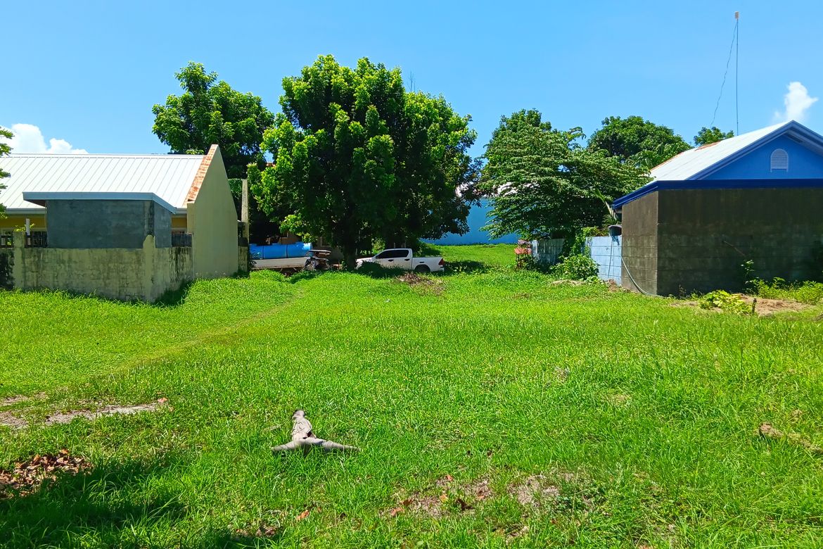 Land for Sale in Minien West, Santa Barbara, Pangasinan