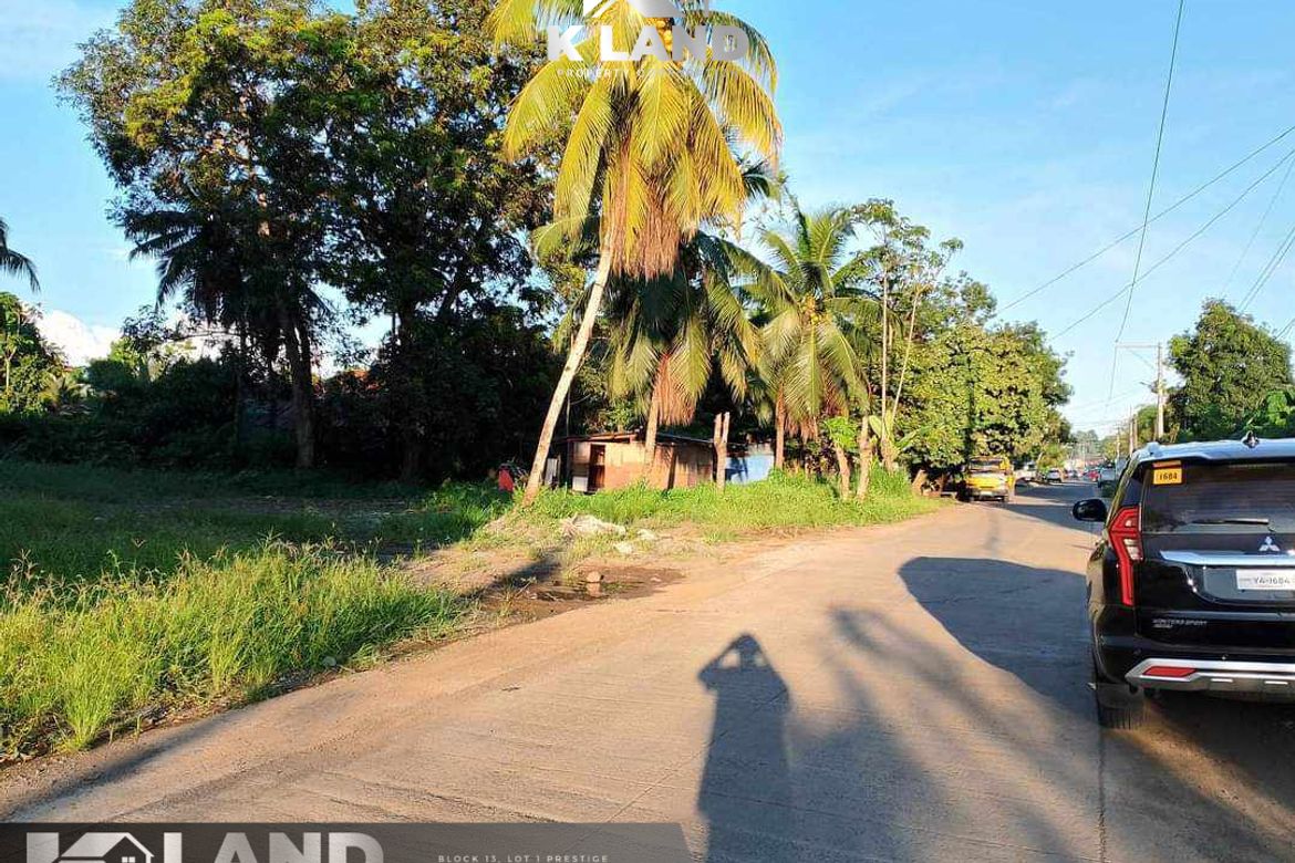 Land for Sale in Mintal, Davao City, Davao del Sur – photo 3