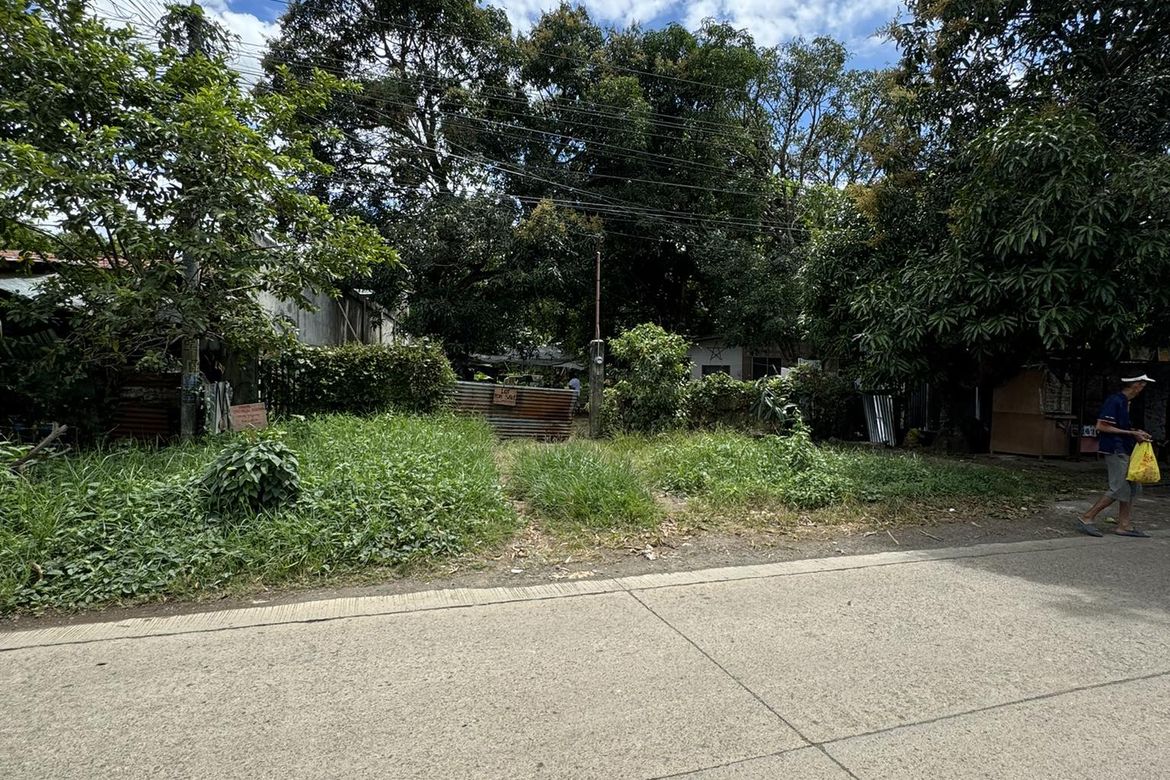 Land for Sale in Mintal, Davao City, Davao del Sur – photo 4