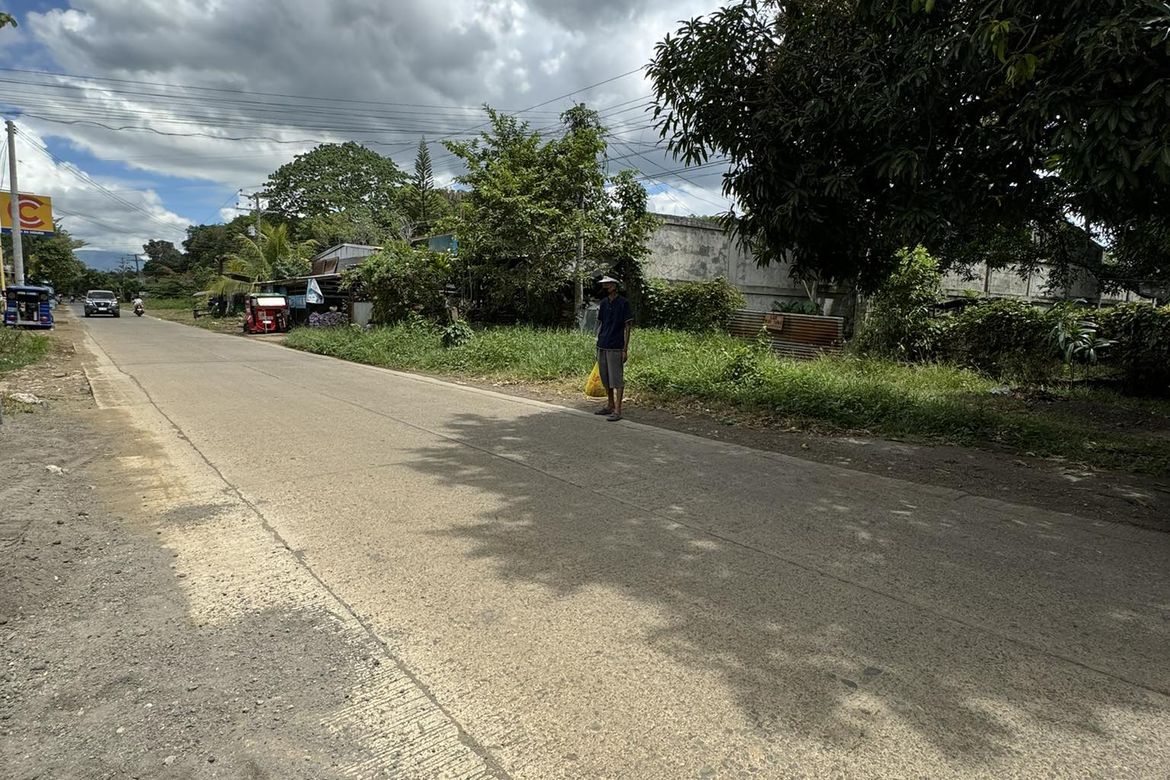 Land for Sale in Mintal, Davao City, Davao del Sur – photo 5