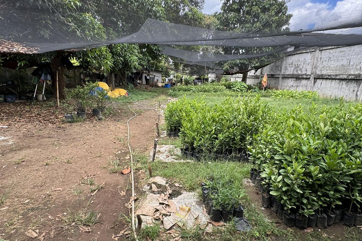 Land for Sale in Mintal, Davao City, Davao del Sur – photo 7