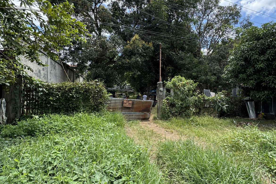 Land for Sale in Mintal, Davao City, Davao del Sur – photo 8