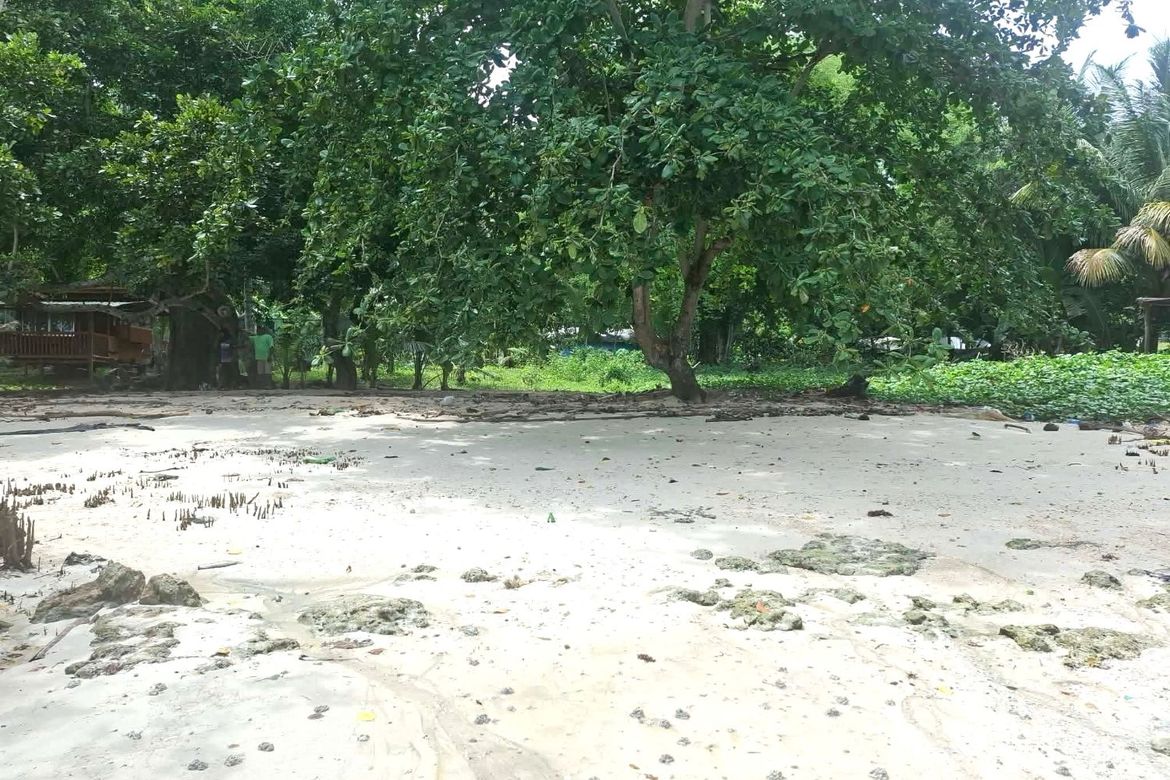 Land for Sale in Miranda, Samal, Davao del Norte