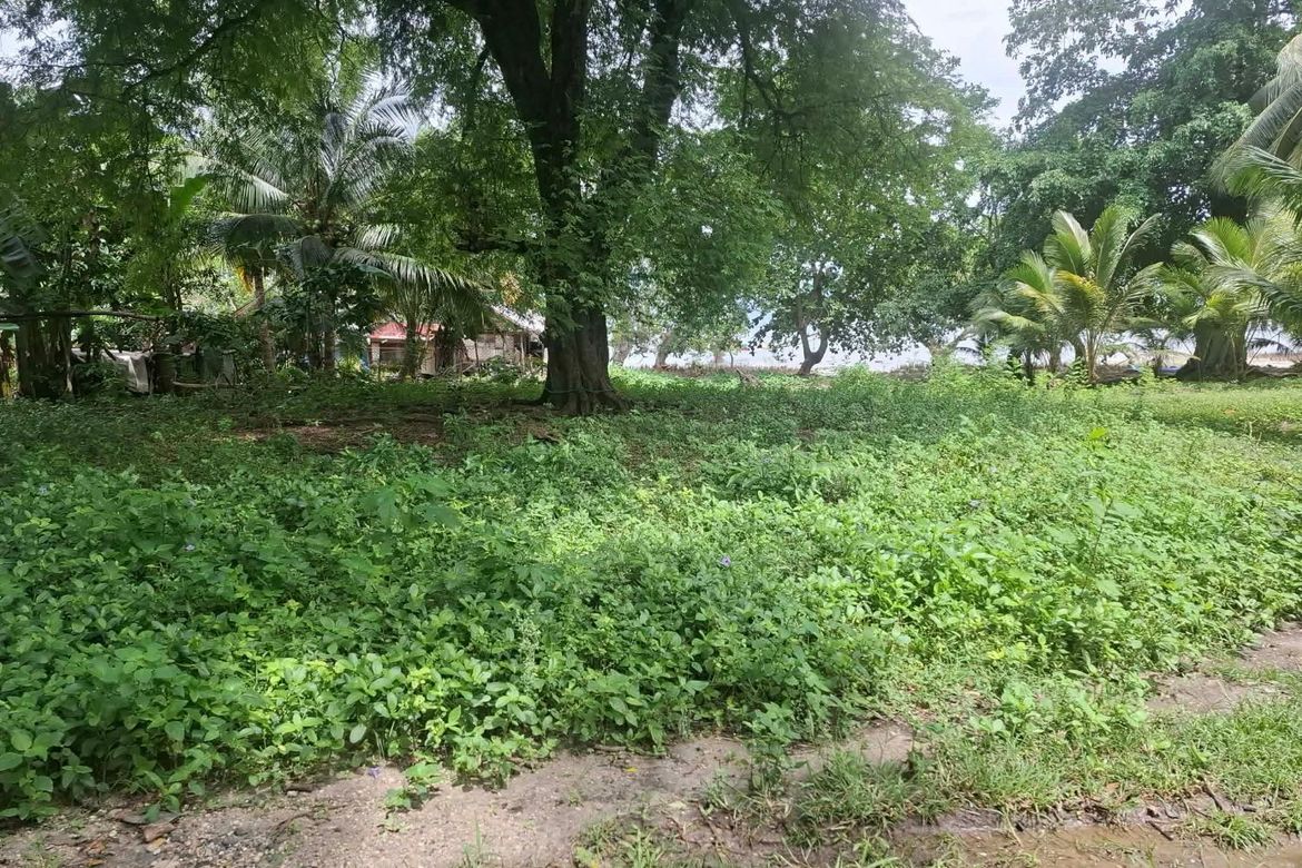 Land for Sale in Miranda, Samal, Davao del Norte – photo 7