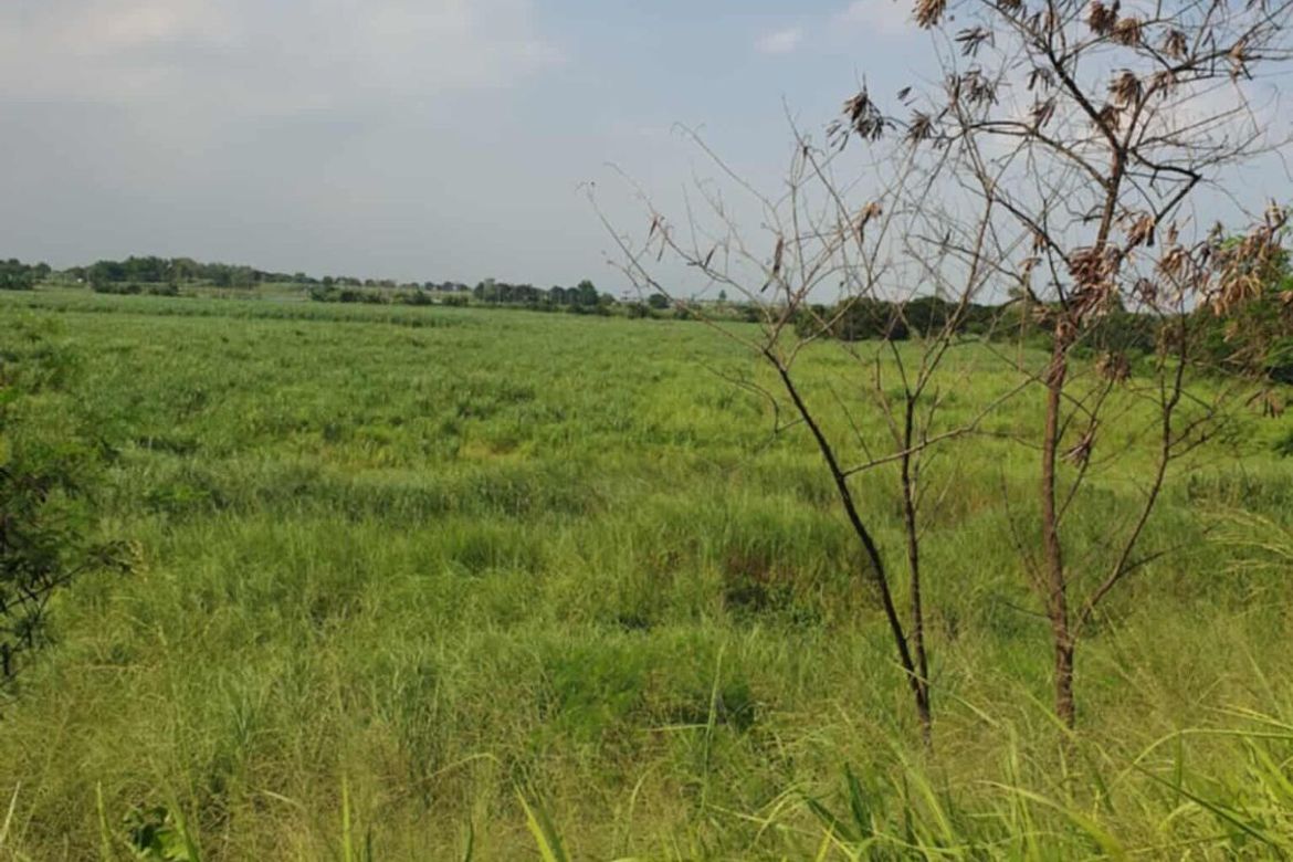 Land for Sale in Mitla Proper, Porac, Pampanga – photo 2