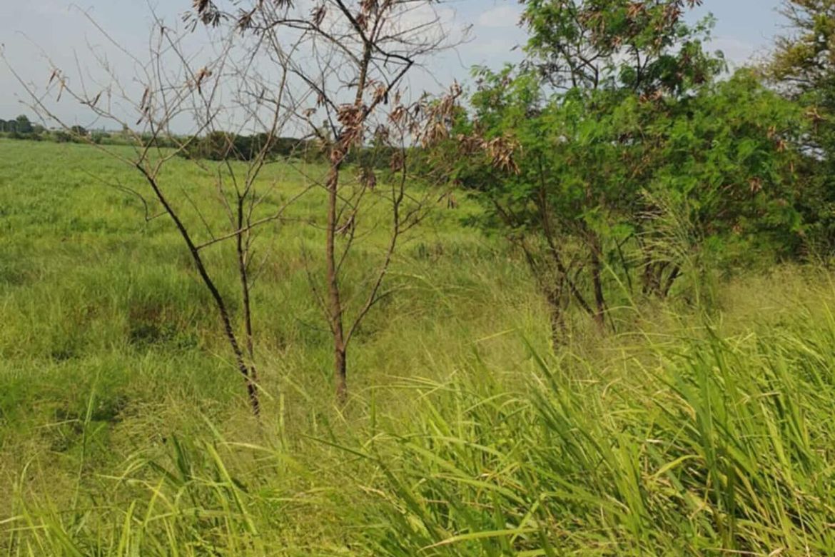 Land for Sale in Mitla Proper, Porac, Pampanga – photo 3