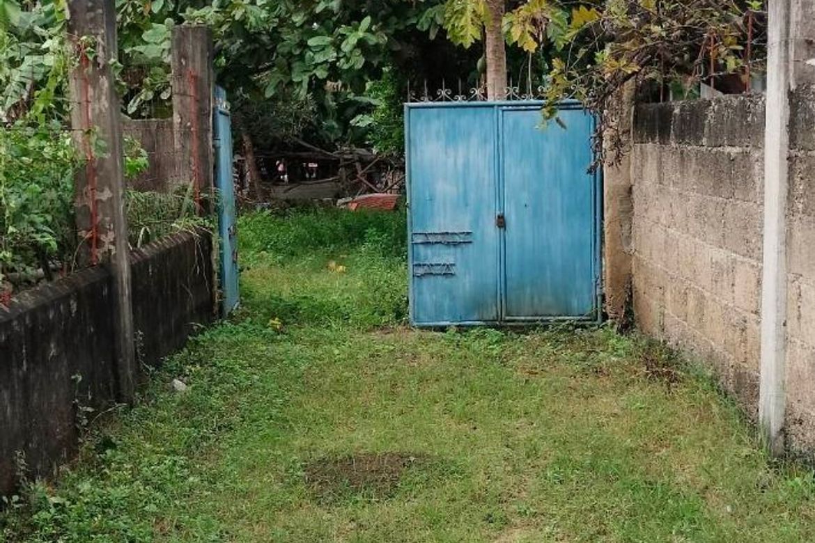 Land for Sale in Mohon, Talisay, Cebu