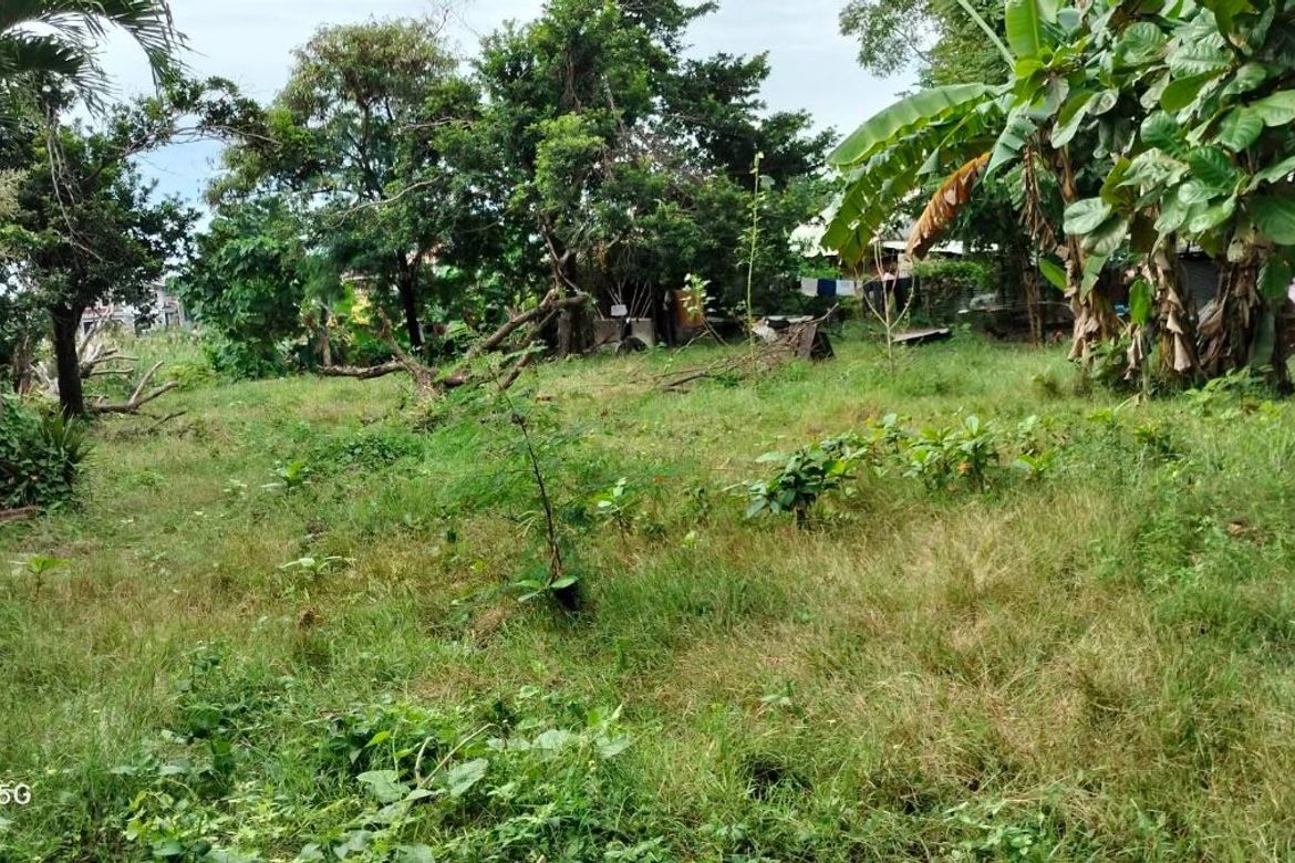 Land for Sale in Mohon, Talisay, Cebu – photo 2