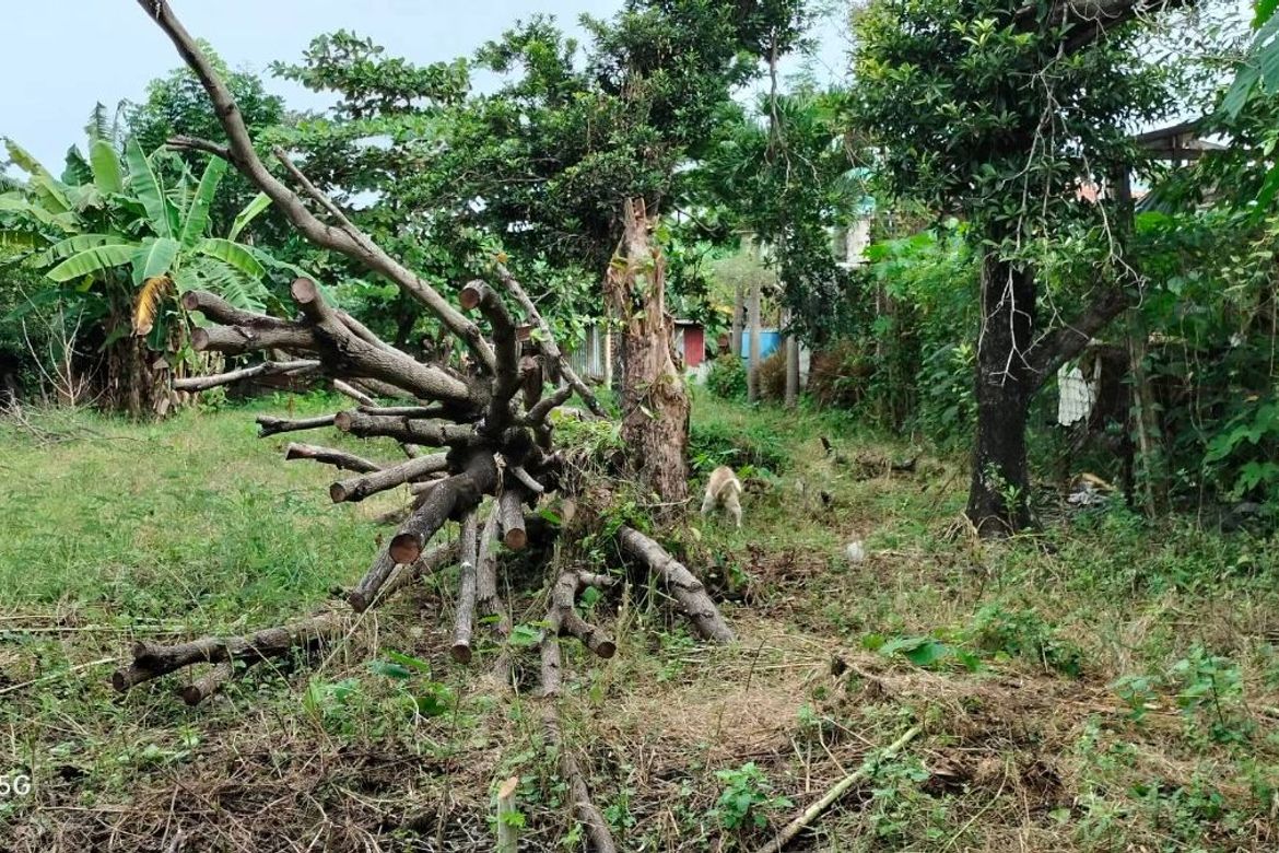 Land for Sale in Mohon, Talisay, Cebu – photo 7