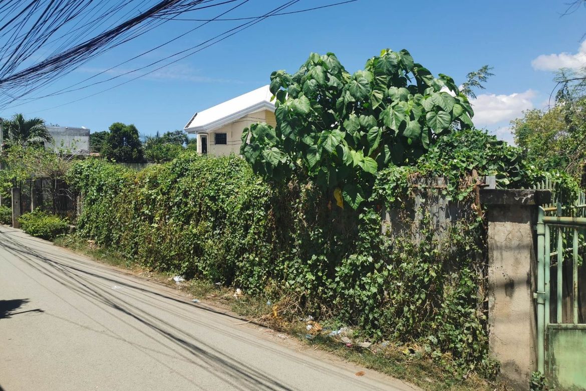 Land for Sale in Mohon, Talisay, Cebu – photo 2