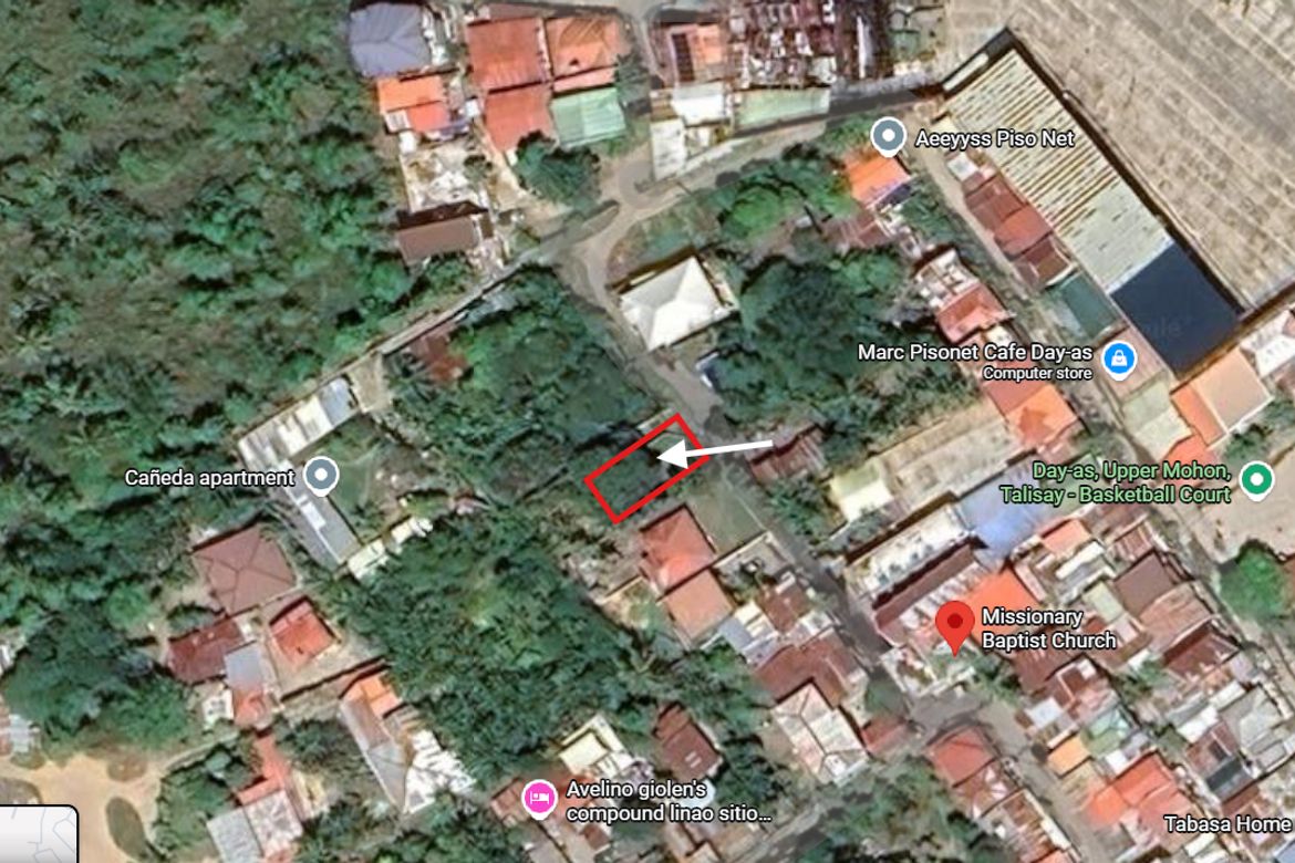 Land for Sale in Mohon, Talisay, Cebu – photo 3
