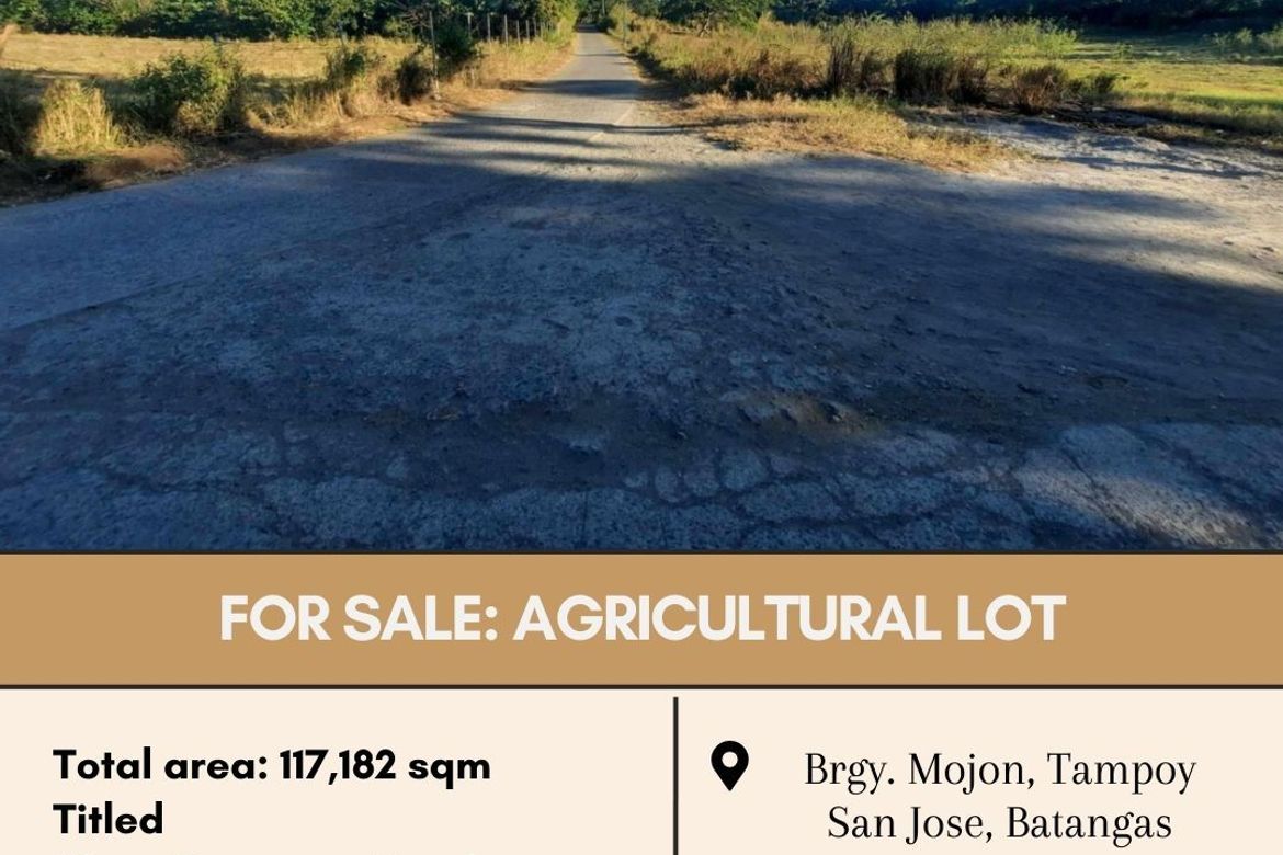 Land for Sale in Mojon-Tampoy, San Jose, Batangas