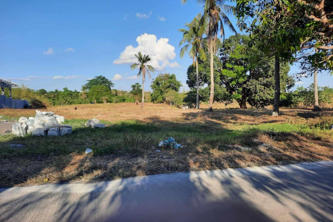 Land for Sale in Mojon-Tampoy, San Jose, Batangas – photo 3