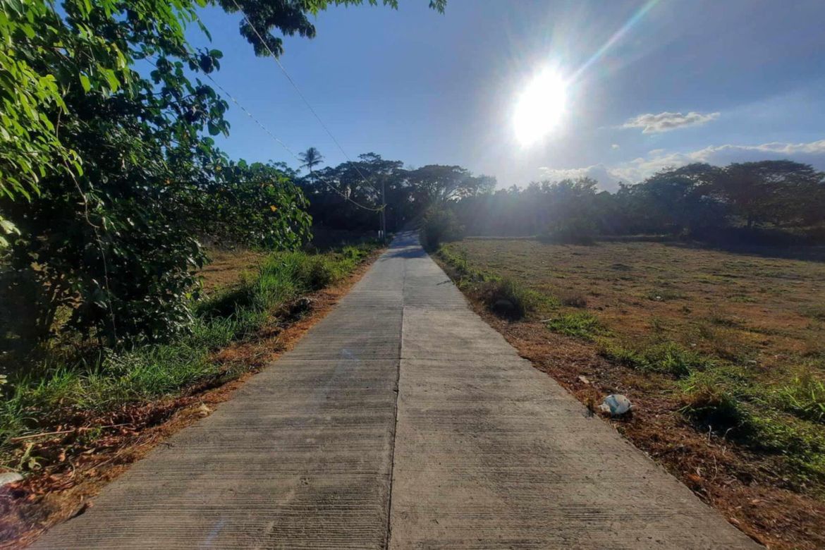 Land for Sale in Mojon-Tampoy, San Jose, Batangas – photo 5