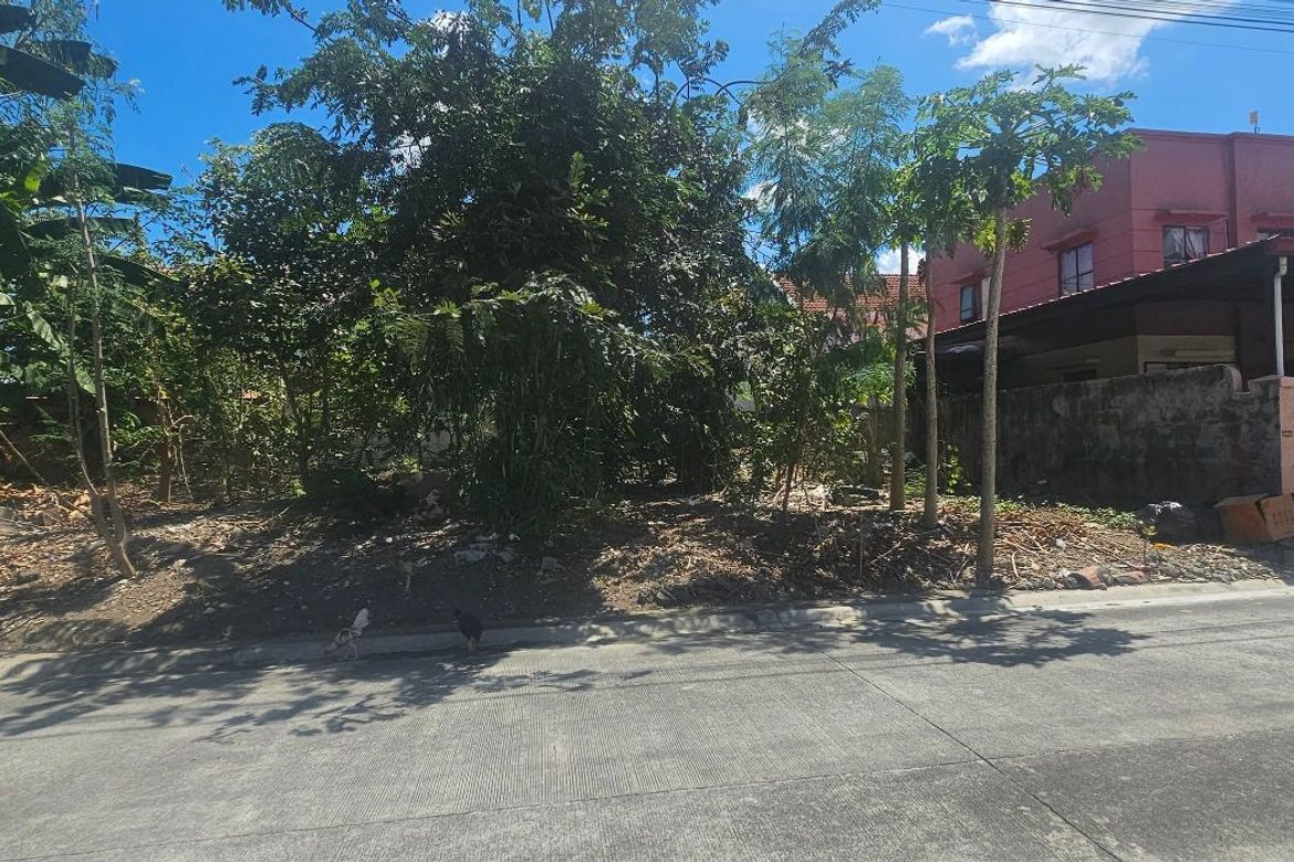 Land for Sale in Molino II, Bacoor, Cavite