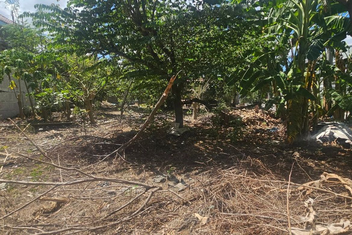 Land for Sale in Molino II, Bacoor, Cavite – photo 3