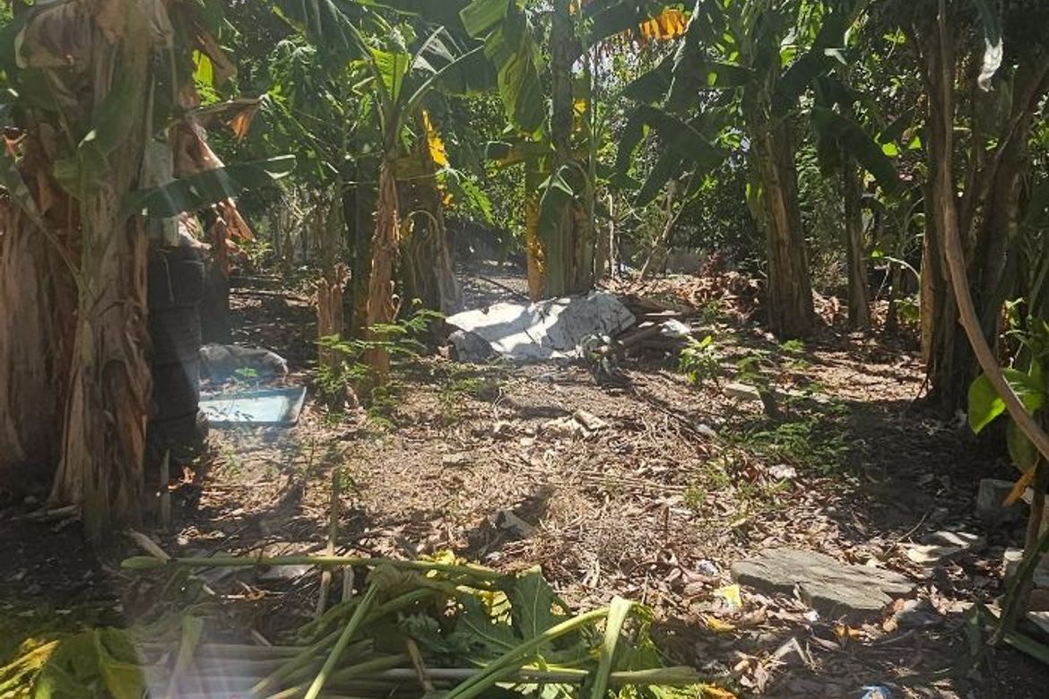 Land for Sale in Molino II, Bacoor, Cavite – photo 4