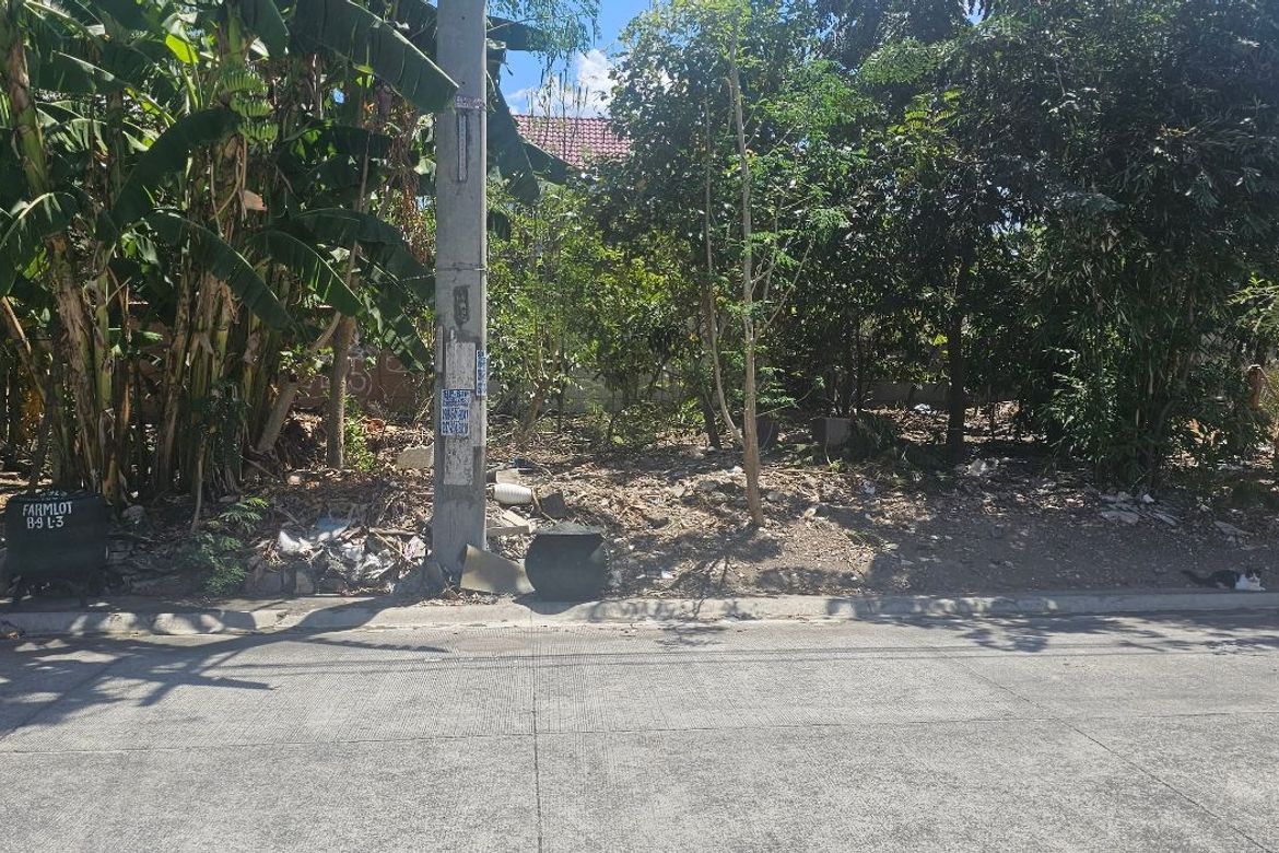 Land for Sale in Molino II, Bacoor, Cavite – photo 7