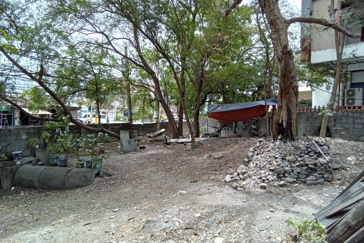 Land for Sale in Molino II, Bacoor, Cavite – photo 2