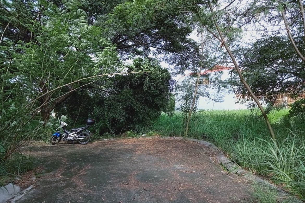 Land for Sale in Molino III, Bacoor, Cavite
