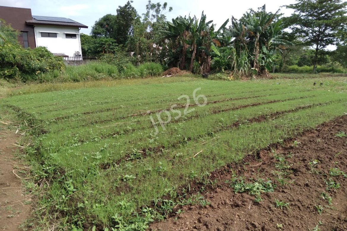 Land for Sale in Molino VII, Bacoor, Cavite