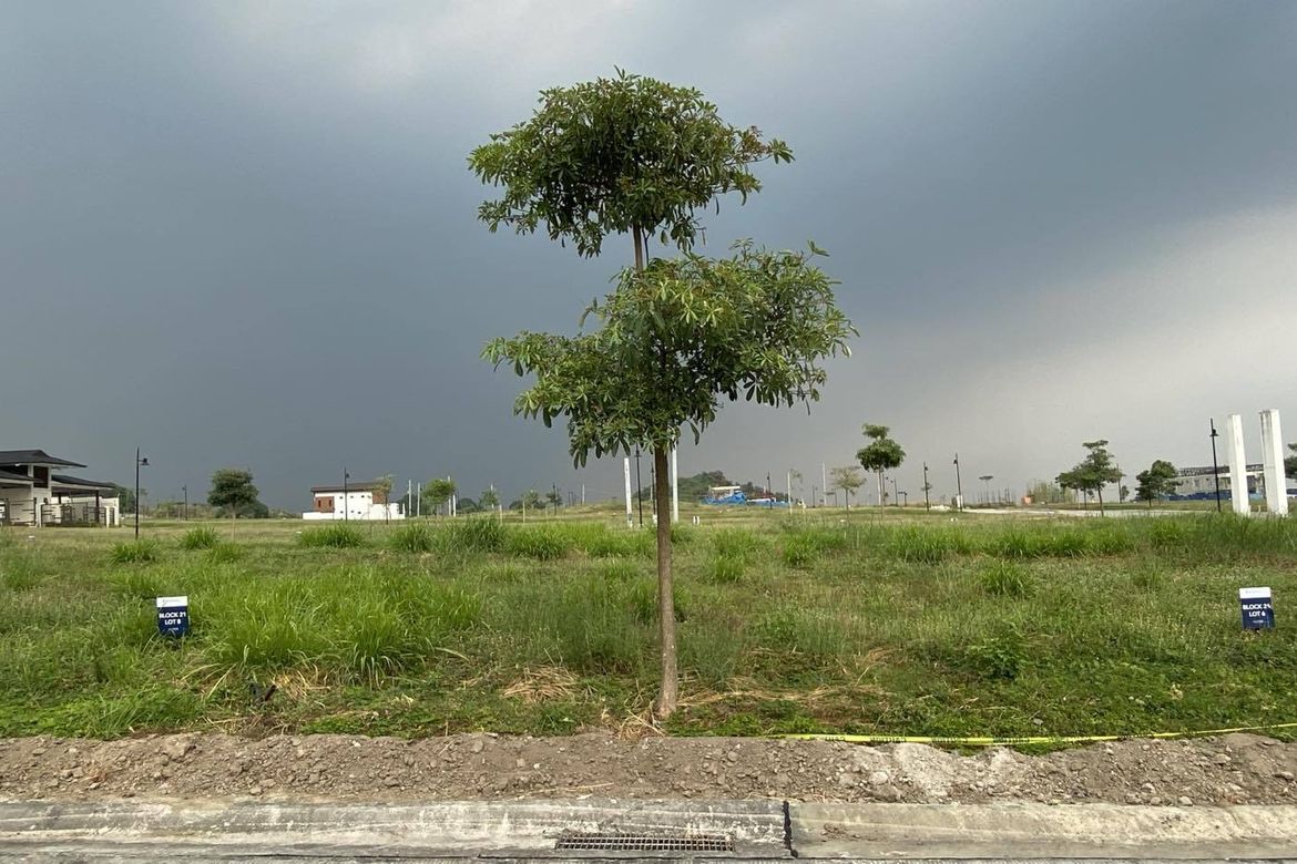 Land for Sale in Montala Alviera, Dolores, Porac, Pampanga – photo 2