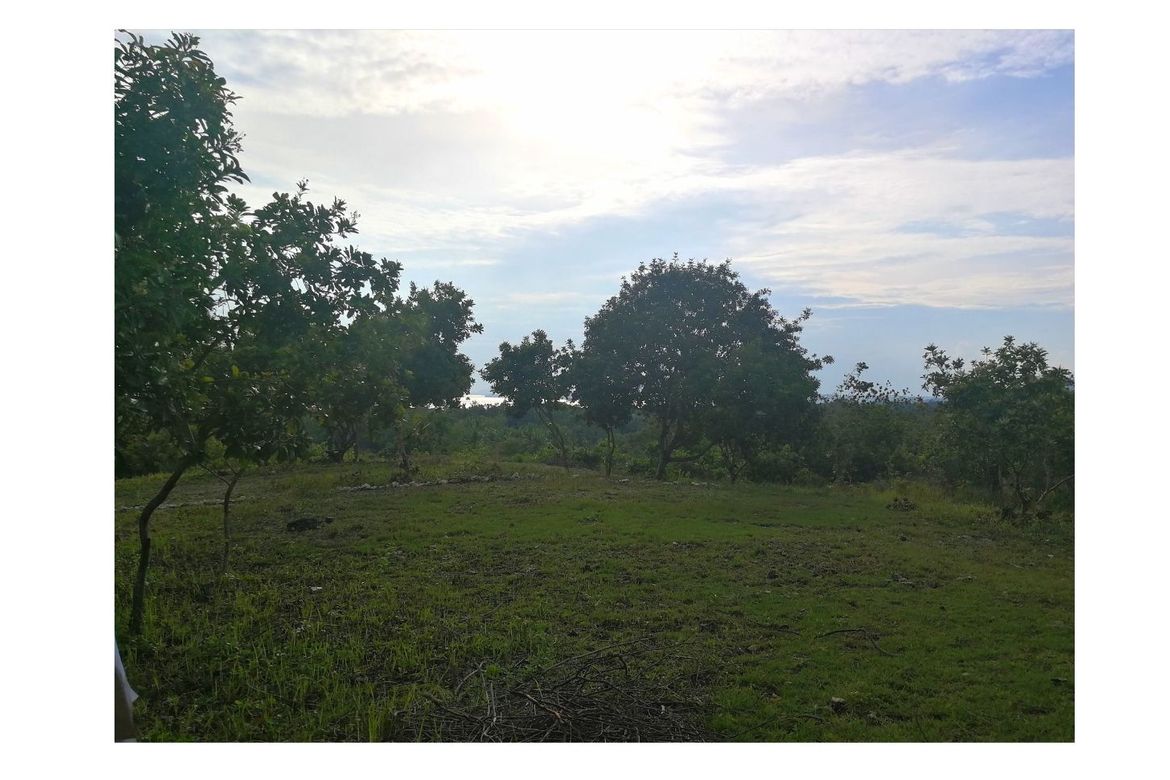 Land for Sale in Montana, Baclayon, Bohol