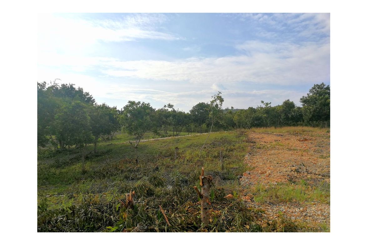 Land for Sale in Montana, Baclayon, Bohol – photo 5