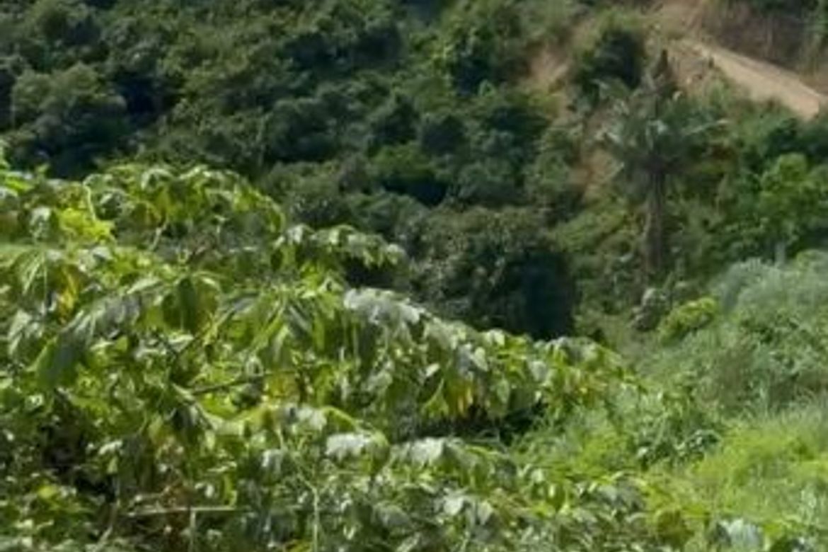 Land for Sale in Monterrazas de Cebu, Guadalupe, Cebu City, Cebu – photo 7