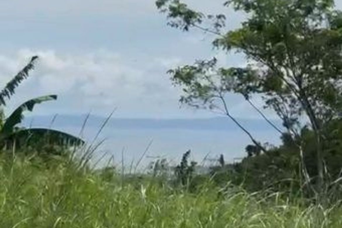 Land for Sale in Monterrazas de Cebu, Guadalupe, Cebu City, Cebu – photo 8