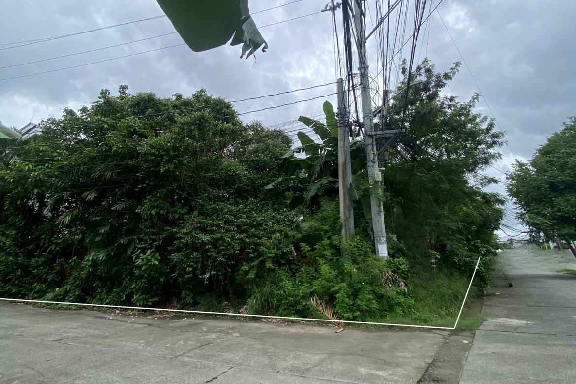 Land for Sale in Moonwalk, Parañaque, Metro Manila – photo 2