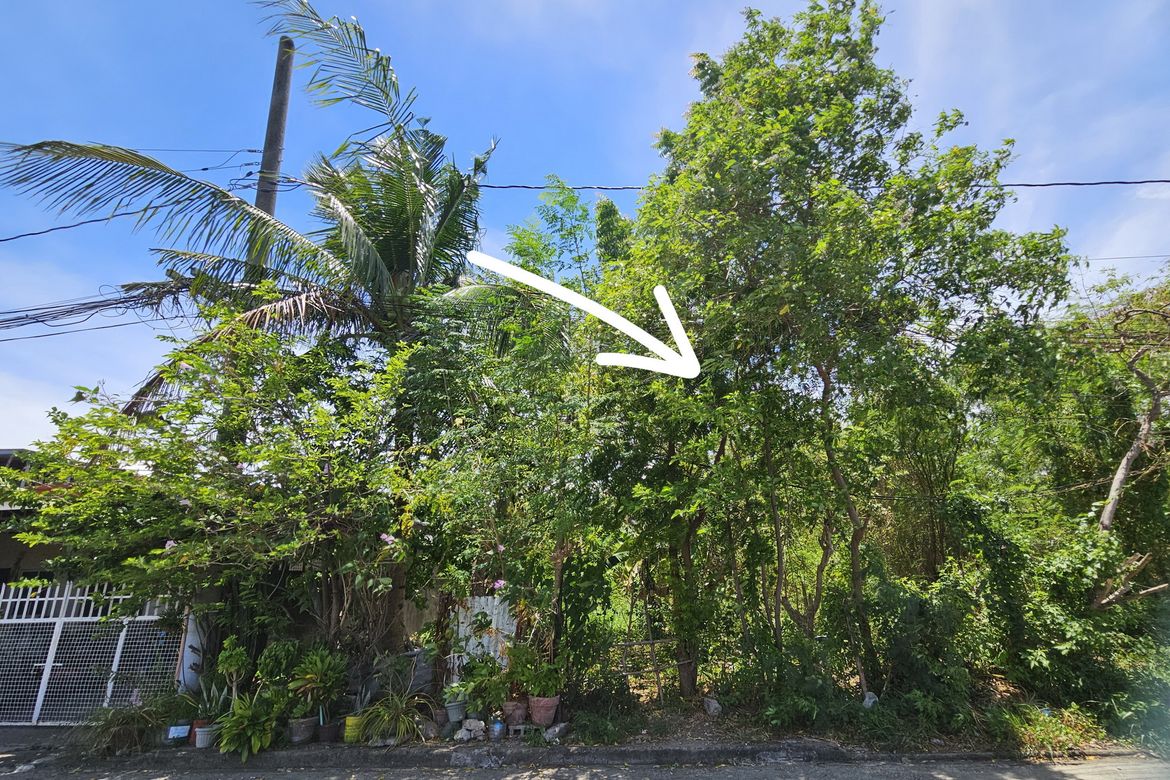 Land for Sale in Moonwalk, Parañaque, Metro Manila – photo 4