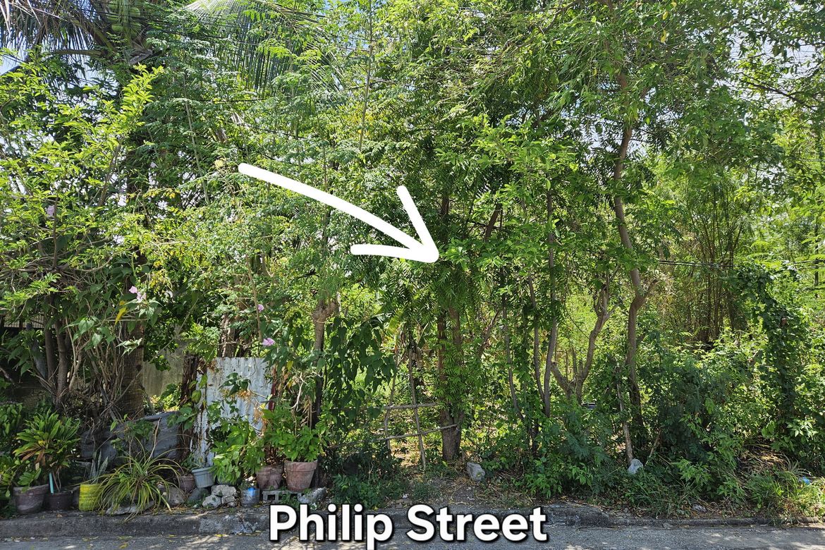Land for Sale in Moonwalk, Parañaque, Metro Manila – photo 6