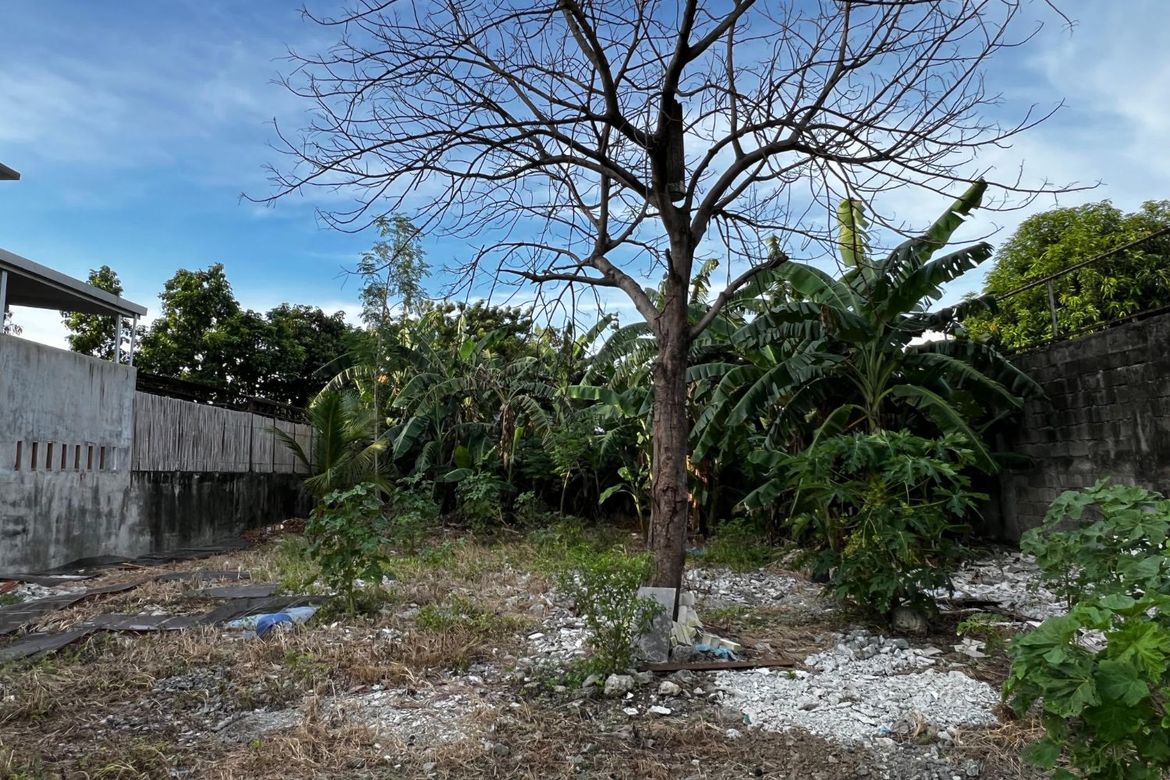 Land for Sale in Moonwalk, Parañaque, Metro Manila – photo 2