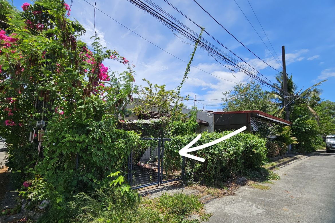 Land for Sale in Moonwalk, Parañaque, Metro Manila – photo 6