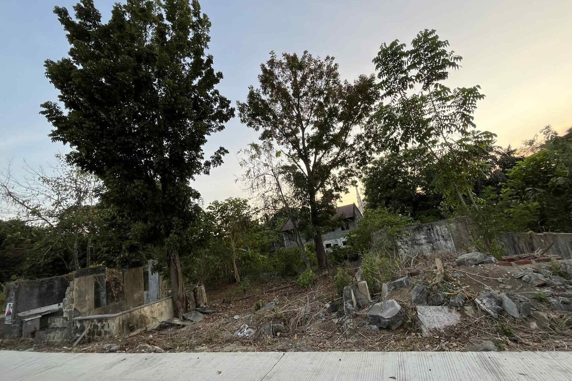 Land for Sale in Moriones, San Jose, Tarlac – photo 2