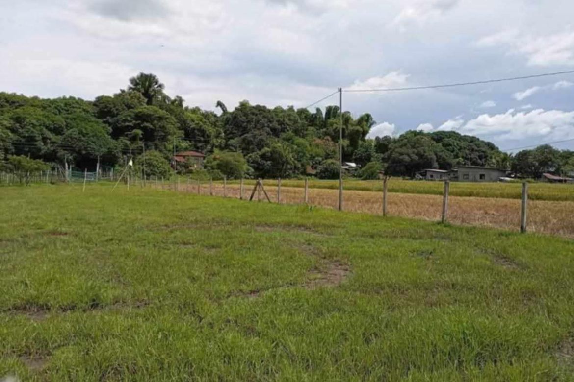 Land for Sale in Moriones, San Jose, Tarlac