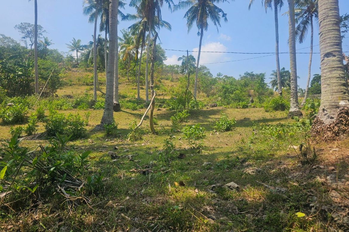 Land for Sale in Moto Norte, Loon, Bohol – photo 3