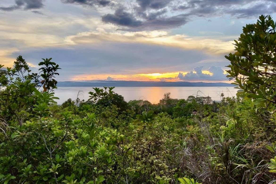 Land for Sale in Moto Norte, Loon, Bohol – photo 2