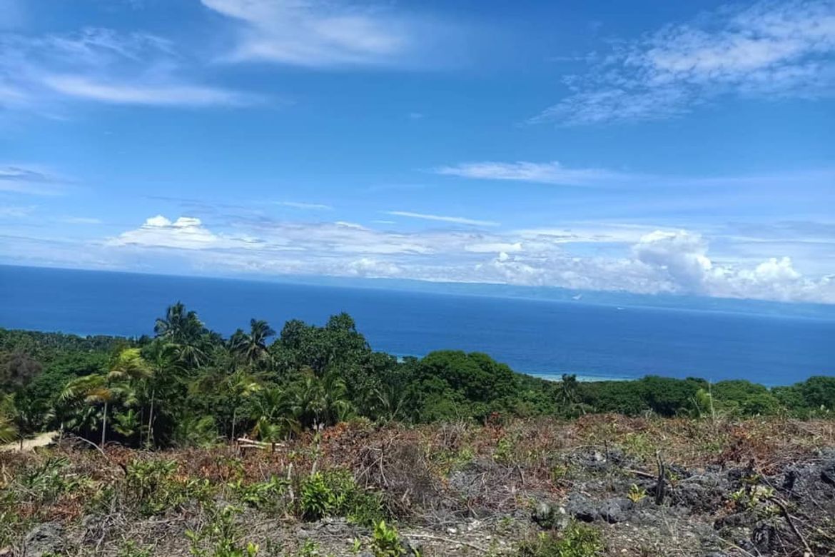 Land for Sale in Moto Norte, Loon, Bohol – photo 3
