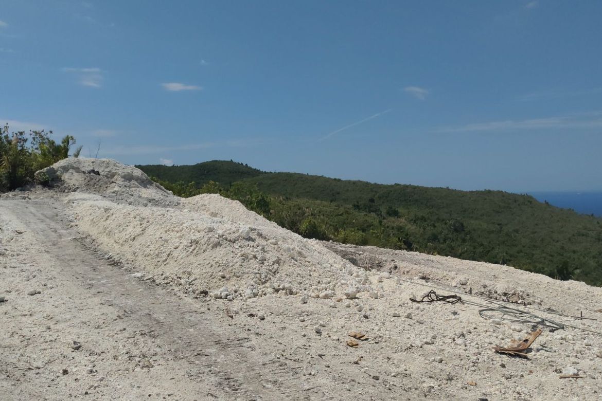 Land for Sale in Moto Norte, Loon, Bohol – photo 5