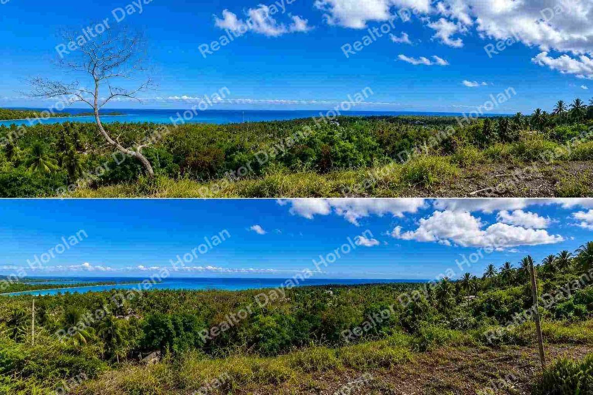 Land for Sale in Moto Norte, Loon, Bohol