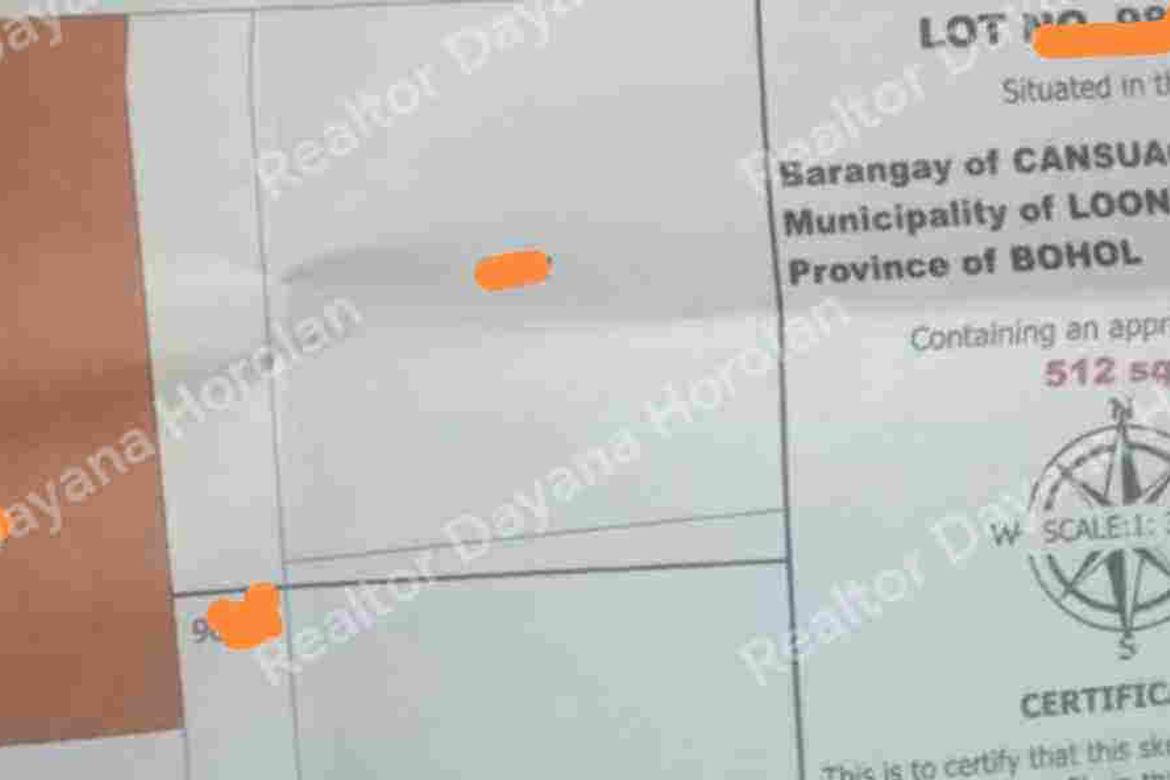 Land for Sale in Moto Norte, Loon, Bohol – photo 3