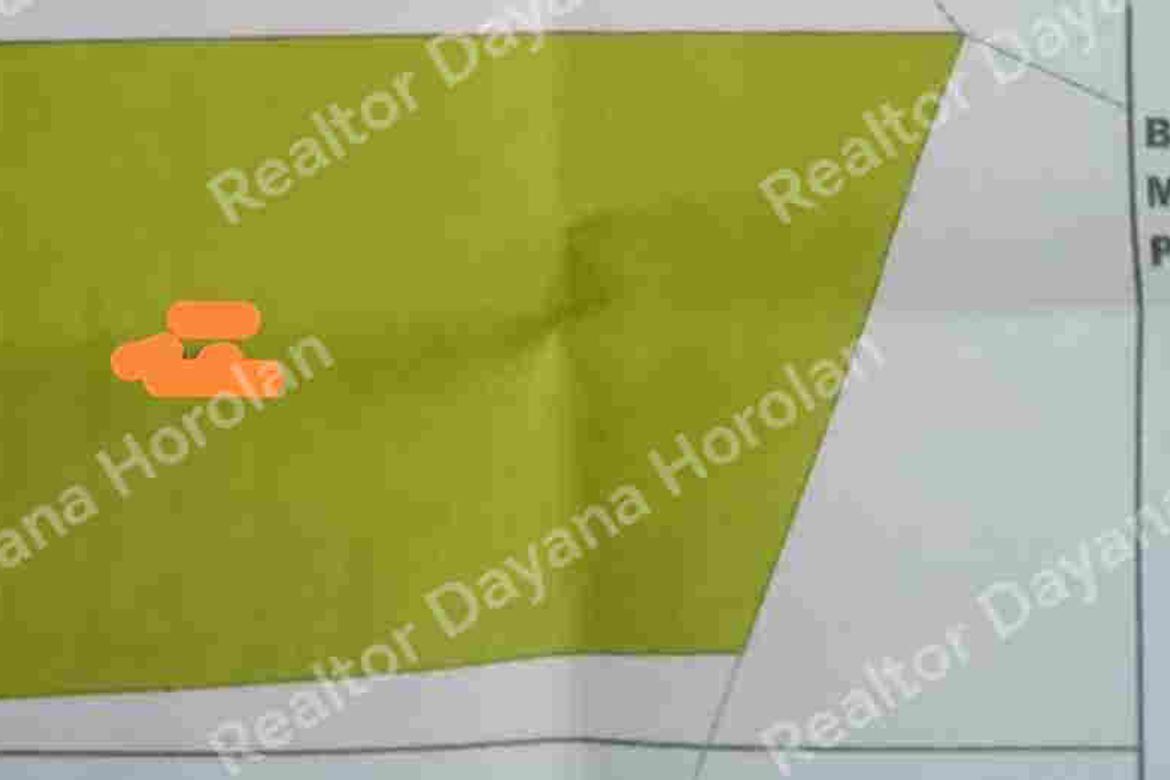 Land for Sale in Moto Norte, Loon, Bohol – photo 4
