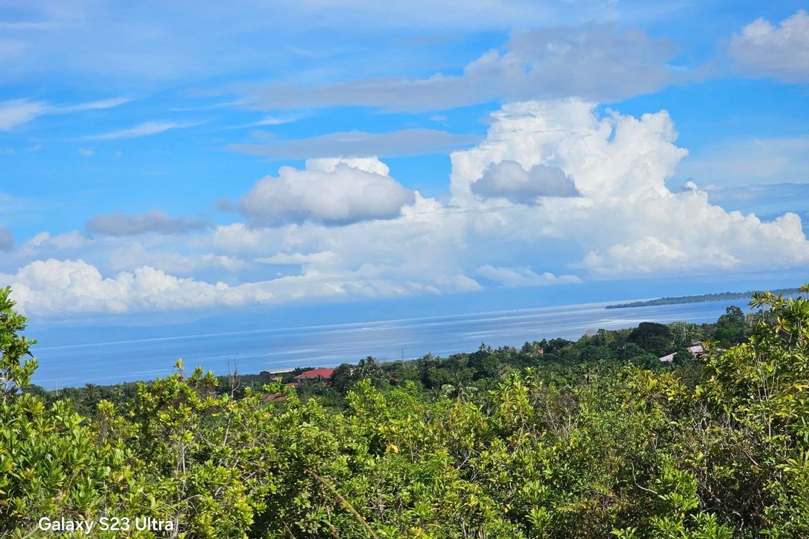 Land for Sale in Moto Norte, Loon, Bohol