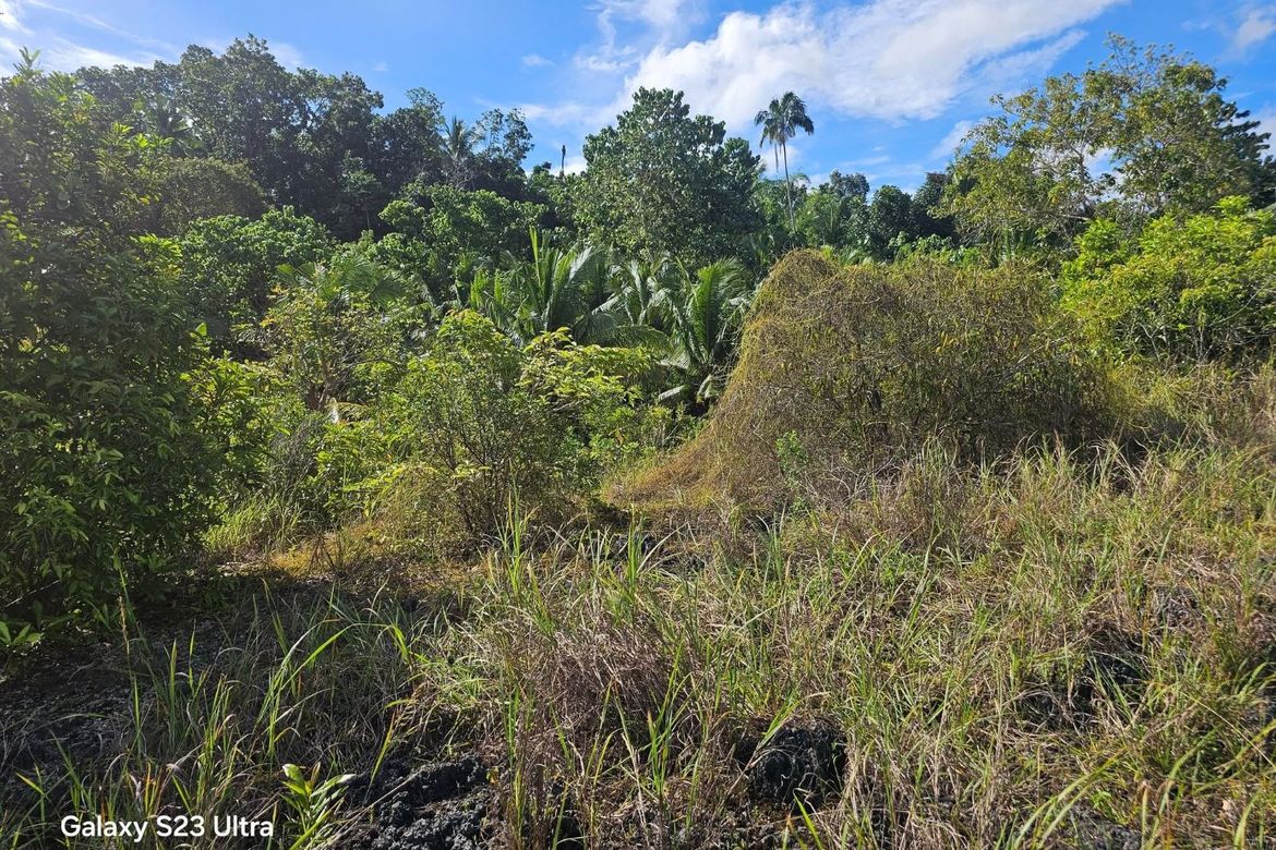 Land for Sale in Moto Norte, Loon, Bohol – photo 2