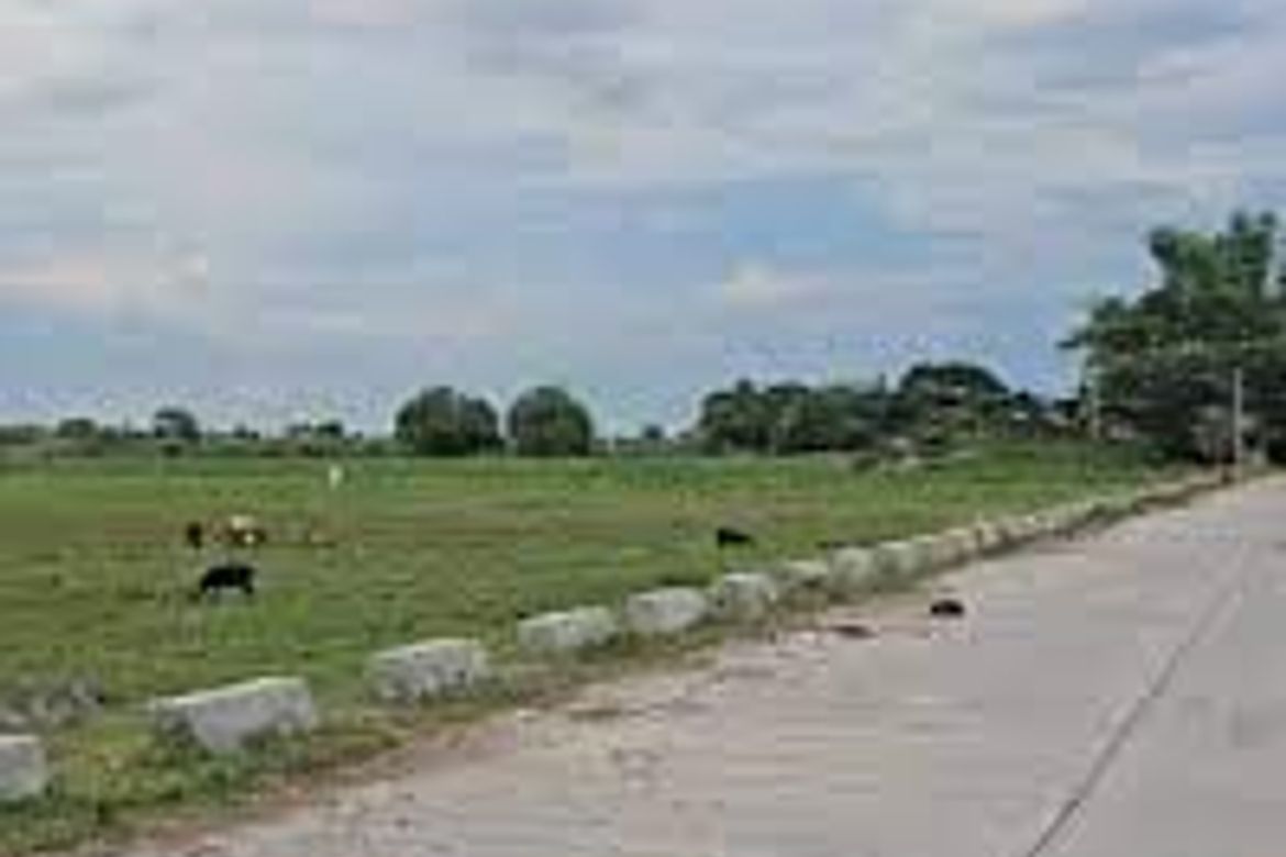 Land for Sale in Motrico, La Paz, Tarlac
