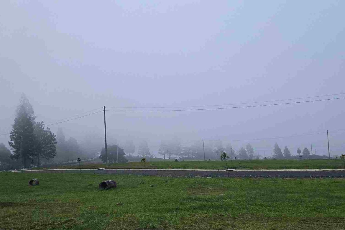 Land for Sale in Mountain Pines Farm, Kalugmanan, Manolo Fortich, Bukidnon – photo 5